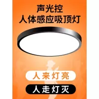 led感应吸顶灯手逗声控楼道楼梯过道家用入户走廊自动雷达人体感应灯