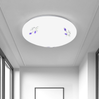 LED过道圆形吸顶灯卧室客厅走廊阳台厨房洗手间家用灯具