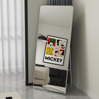 全身镜穿衣落地镜子家用手逗网红女生卧室挂墙大镜子宿舍服装店试衣镜美容镜