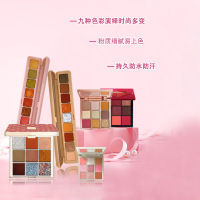 透明九色亚克力眼影盘珠光哑光大地色九宫格眼影 9色