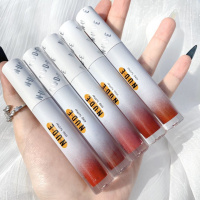雾感唇釉丝绒雾面哑光唇彩唇蜜小众保湿滋润口红5支装 五支唇釉套装