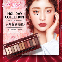 百搭十二影 酒红日落眼影盘易上色1201