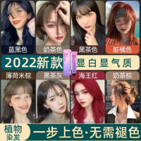 2022流行色可盖白发自己染理发店染发膏