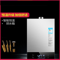 即热式恒温黄金蛋燃气热水器电家用天然气强排式液化气煤气12升_10升强排机械旋钮铜水箱_天然气