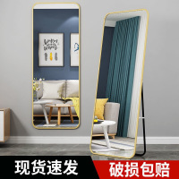 全身镜子网红ins落地镜少女卧室家用穿衣镜迪玛森服装店学生宿舍试衣镜