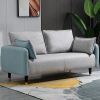 迪玛森科技布沙发小户型客厅简约轻奢公寓双人三人卧室出租房网红服装店