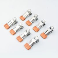 蜜橙 10个装|不锈钢夹子固定晒衣服晾衣夹家用厨房食品夹子小晒袜子夹防风无痕