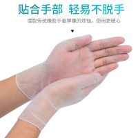 微弹-50只[袋装] 中号[M]码|一次性手套pvc 乳胶 丁腈餐饮烘焙 薄膜防护透明盒装美容手套