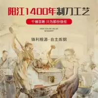 菜刀切片刀锋利菜刀原实木柄广东阳江菜刀锋利免磨折邮费