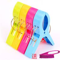 1包[4个装]+衣刷|大号防风衣夹塑料夹子 晒棉被夹子衣服夹子 特大号强力夹子