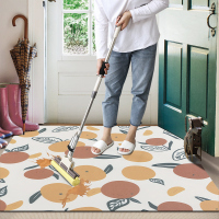 可擦洗地垫门口进门地毯入门客厅门垫进户门家用厨房防滑防油垫子