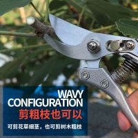 果园修枝剪果树树枝园林剪刀家用花艺果木神器省力园艺sk5树剪子