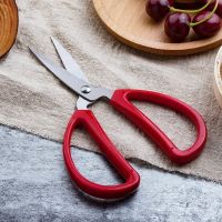 家用小剪刀 一把装|锌合金龙凤剪刀 家用剪刀 裁缝剪刀 不锈钢剪子 开业剪彩剪纸刀