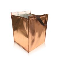 6寸8寸10寸12寸14寸蛋糕保温冷藏保冷袋铝箔保鲜包酒店冰皮月饼袋