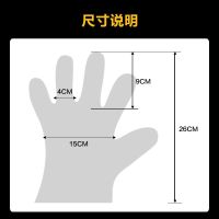 200只厚款手套|加厚一次性手套食品餐饮烧烤龙虾烘焙加厚pe塑料薄膜手套