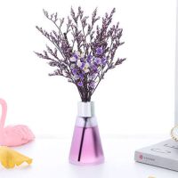 薰衣草香味(清香) 两瓶香薰+4瓶精油(可用一年)|香薰精油家用室内卧室房间香水厕所除臭卫生间持久留香空气清新剂