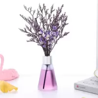 薰衣草香味(清香) 两瓶香薰+4瓶精油(可用一年)|香薰精油家用室内卧室房间香水厕所除臭卫生间持久留香空气清新剂