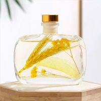 可可小姐[少女香氛] 两盒装+2瓶100ml补充液|香薰除臭精油家用卧室内熏香房间无火香水持久厕所空气清新剂摆件