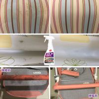 布艺沙发除霉剂去霉斑墙布墙纸墙体壁纸婴儿车窗帘布料发霉除霉