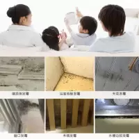 墙体除霉剂墙壁纸墙面发霉清除神器去霉斑霉菌清洁去霉剂