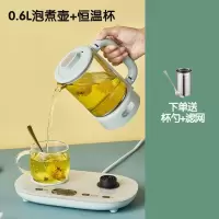 小熊(bear)养生壶恒温家用多功能mini全自动小型办公室泡花茶茶壶煮茶器 绿色 YSH-C08V1