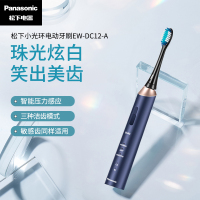 松下(Panasonic)电动牙刷成人声波震动男女小光环系列情侣组合软毛充电式 EW-DC12-A405