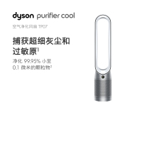 戴森 DYSON TP07 空气净化循环扇 兼具空气净化器和循环扇功能 智能塔式 银白色