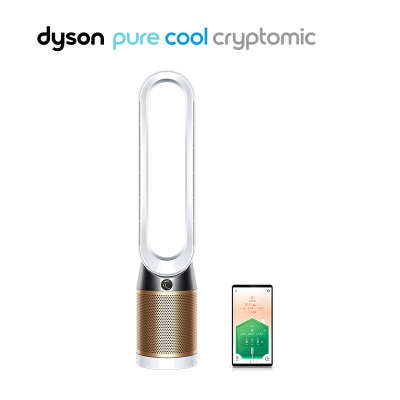 戴森(Dyson)TP06 空气净化风扇 净化甲醛 整屋循环 智能连接 白金色
