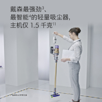 戴森(Dyson)V12 Detect slim total clean extra新款轻量无线吸尘器 除螨宠物家庭适用