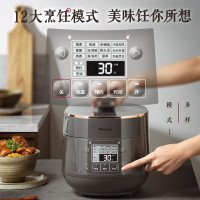 松下( Panasonic) 2L迷你压力锅 多功能小型电饭煲家用高压锅 24小时预约烹调 SR-PB201-H