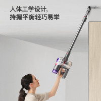 戴森(DYSON)V8 手持无绳吸尘器 智能除尘 宠物家庭整屋 [铁镍色]2023年升级款