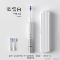 松下(Panasonic)电动牙刷成人科技双马达技术 声波震动 焕光刷情侣礼物自带收纳盒EW-DC70