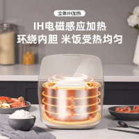 松下(Panasonic)电饭煲IH电磁加热4.8L大容量智能预约多功能电饭锅备长炭厚釜 香槟金色SR-HTM18