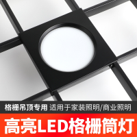 led格栅灯15x15铝网格吊顶双头法耐FANAI10x20黑色葡萄架专用方形筒灯射灯