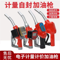 法耐(FANAI)正反转电动抽油泵12V24V220V伏自吸泵油泵直流柴油泵加油机抽油器