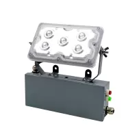 日昇之光(RECEN) RGXL213E-5*1W 5700K/220V 防护等级:IP65 LED应急顶灯