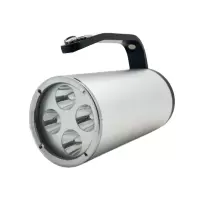 日昇之光(RECEN)RSC8001 12W 11.1V IP68 LED 手提式防爆探照灯 1套