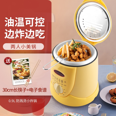 自动多功能小电炸锅鼎锅居家用电炸炉油炸锅商用小型油炸机2K287固定式黄色