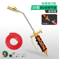 烧毛器喷枪头燃气液化气喷火枪烧肉煤气家用器火焰烤手持喷灯 双色柄30型双开关+2米燃气管