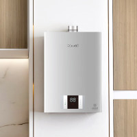 林内(Rinnai) 热水器JSQ26-S42W燃气热水器天然气(12T)