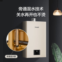 [小蛮腰PRO]林内16升家用恒温燃气热水器节能ECO变频恒温RUS-16GC22