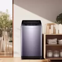 海尔(Haier)EB100M30Max2全自动10公斤波轮洗衣机家用洗脱一体除螨洗抗菌波轮