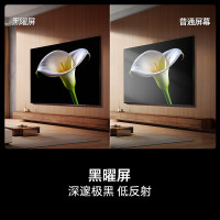 海信电视E8Q 65英寸 信芯H6 U+MiniLED 黑曜屏 首发300Hz高刷 帝瓦雷音响65E8Q