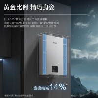 林内(Rinnai)[小蛮腰]燃气热水器天然气13升 家用强排式 变频节能恒温 13GD31
