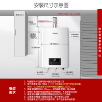 林内(Rinnai)RUS-20GD31[鲸吨吨白鲸]20升燃气热水器天然气 大水量