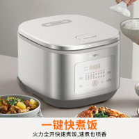 九阳家用电饭煲大火力多功能电饭锅焖煮40FZ4399 沙丘灰 4L