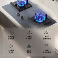 万和(Vanward)[墨蓝无痕]燃气灶具家用5.2KW大火力 64%高热效 易清洁抗污 天然气双莲火JZT-C6L01