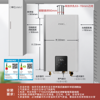 [小蛮腰MAX水伺服]林内燃气热水器GC62家用天然气16升恒温 RUS-16GC62