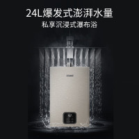 林内(Rinnai)[鲸吨吨蓝鲸]24L燃气热水器零冷水大水量24GD61R(JSQ47-GD61R)