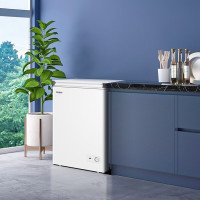 海尔(Haier)家用冰柜100升小冰箱小型冷柜大容量-30度深冷速冻保鲜BC/BD-100GHW9D